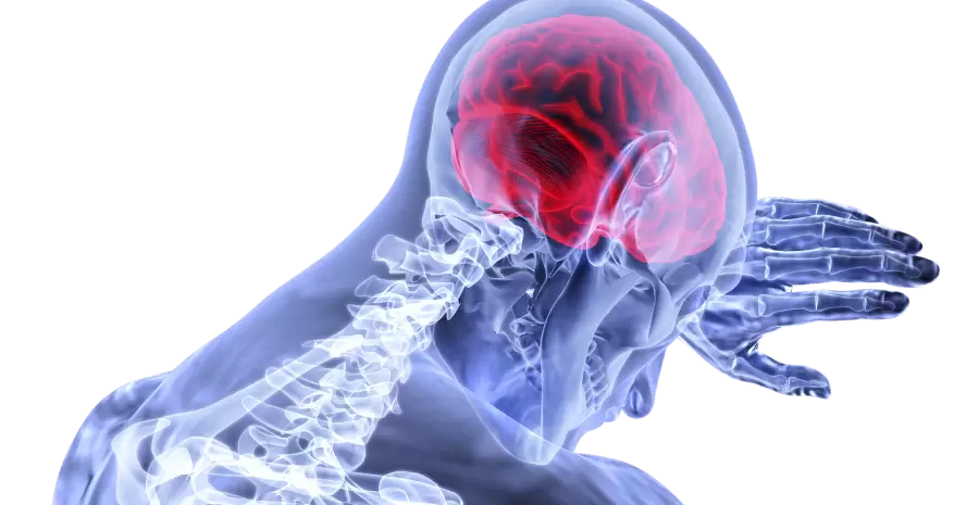 brain-3168269_1920