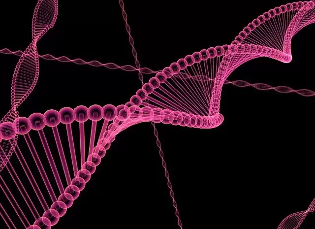dna-1015661_640