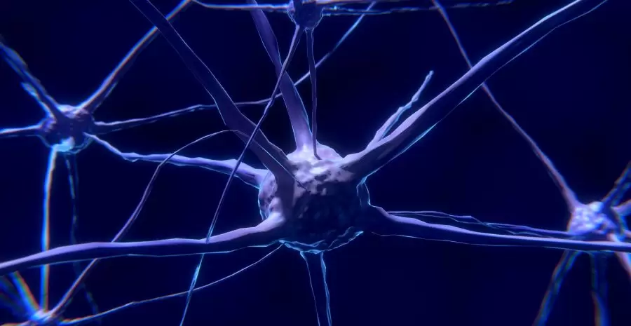 nerve-cell-2213009_1920