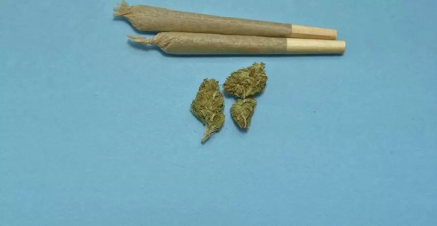 marijuana-2248066_1280
