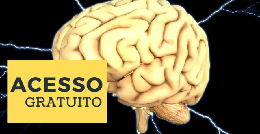 brain-1845940_1280