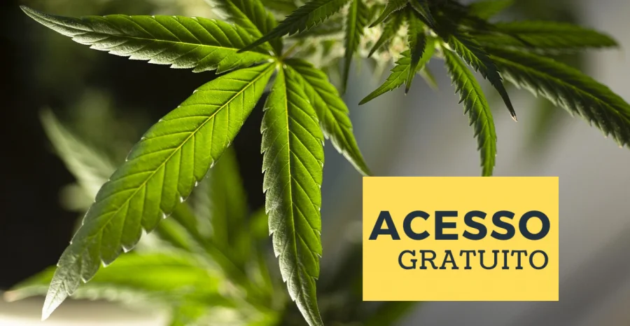 marijuana-leaf-5315553_128098798798798