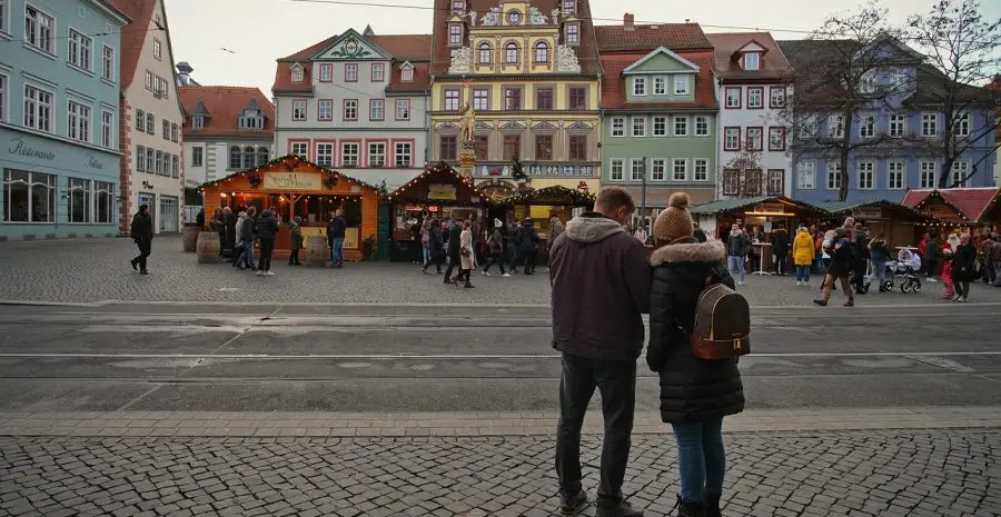 driesel-search-4700433_1280