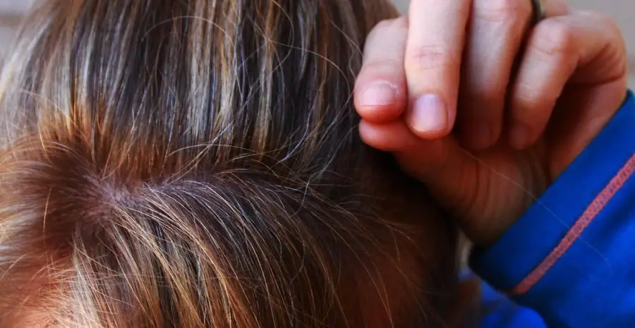 gray-hair-1720827_1280